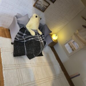 Flannel Throw and Blanket Set